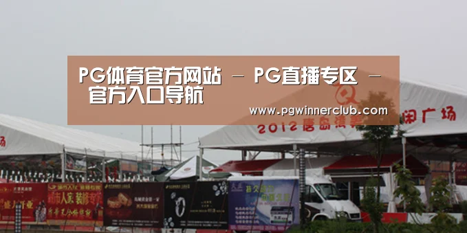 案例标题十
