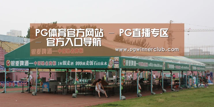 案例标题七