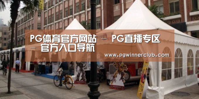 案例标题九