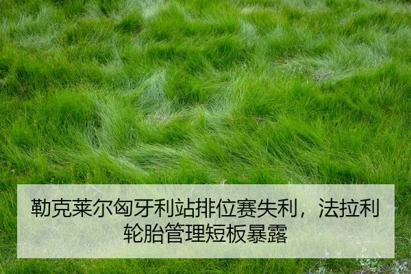 lei-ke-lai-er-xiong-ya-li-zhan-pai-wei-sai-shi-li-fa-la-li-lun-tai-guan-li-duan-ban-bao-lu-2-430.jpg