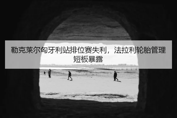 lei-ke-lai-er-xiong-ya-li-zhan-pai-wei-sai-shi-li-fa-la-li-lun-tai-guan-li-duan-ban-bao-lu-3-319.jpg