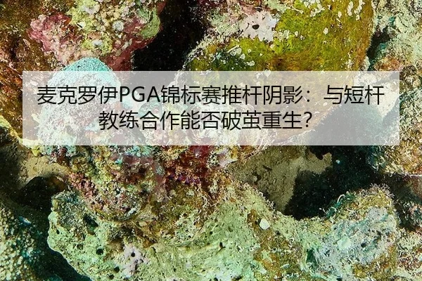麦克罗伊PGA锦标赛推杆阴影：与短杆教练合作能否破茧重生？